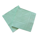 Load image into Gallery viewer, Mint Green Rainbow Cocktail Napkins (Large)